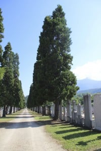 Allée du cimetière